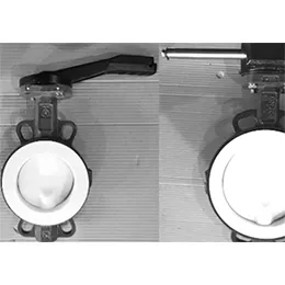 PTFE Butterfly Valves