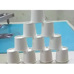 NEER