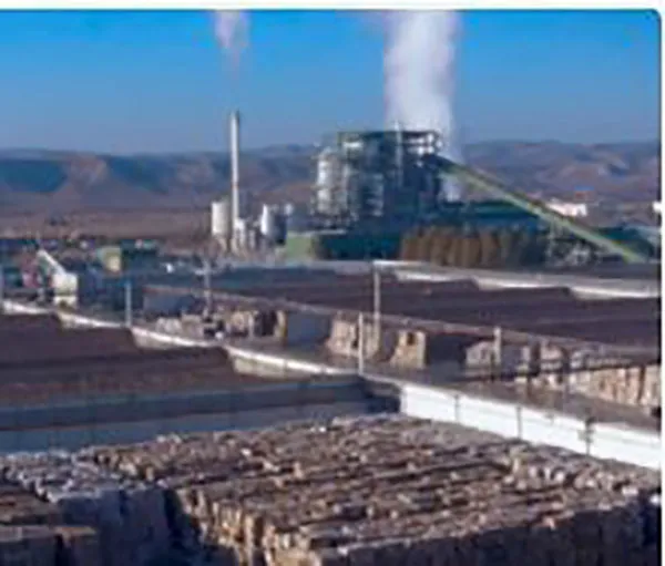 Energy valorisation plant