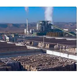 Energy valorisation plant