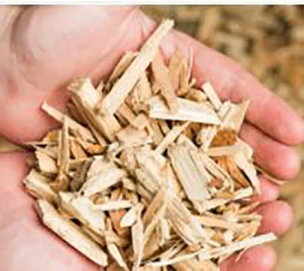Saica Venizel biomass plant