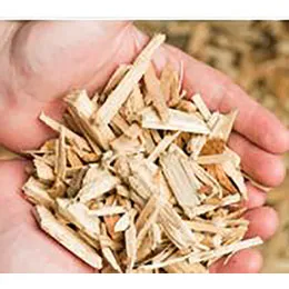 Saica Venizel biomass plant