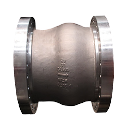 ancv-axial nozzle check valve