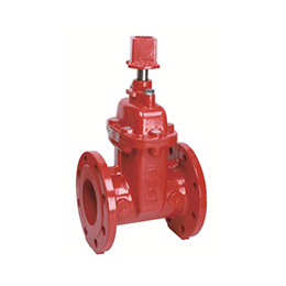 Z45XC BS Flanged Resilient NRS Gate Valve