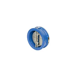 Check Valve