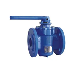 Plug Valve