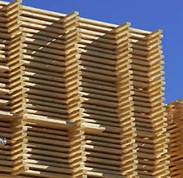 Adapted Wood Products