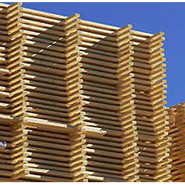 Adapted Wood Products