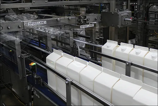 GABLE TOP CASE PACKER