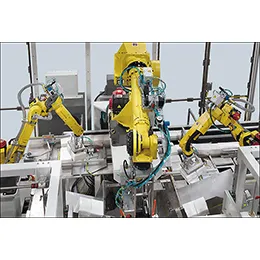 ROBOTIC CASE PACKER