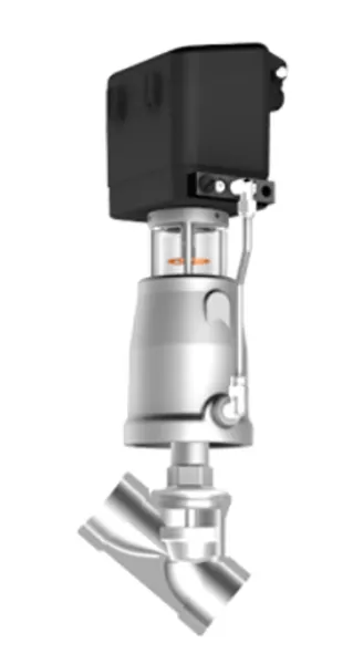Globe valves