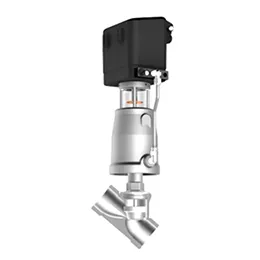 Globe valves