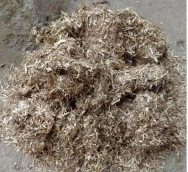 Flax Fibers and Pulp
