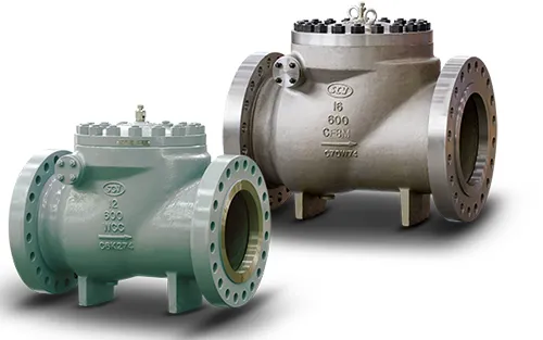 Full Port Swing Check Valves - API 6D