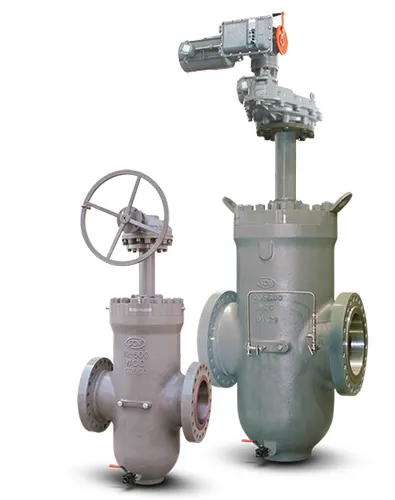 Thru Conduit Gate Valves - API 6D