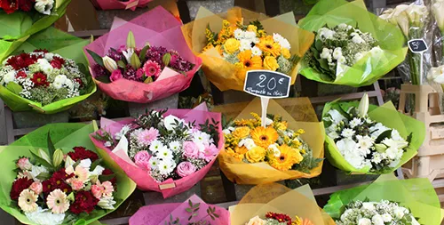 Waxed Paper and Floral Tissues