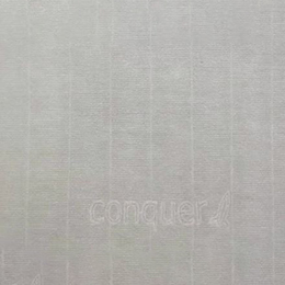 Conqueror Paper With Watermark