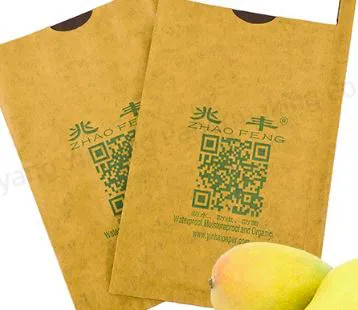 Mango bag