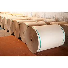 Kraft Paper