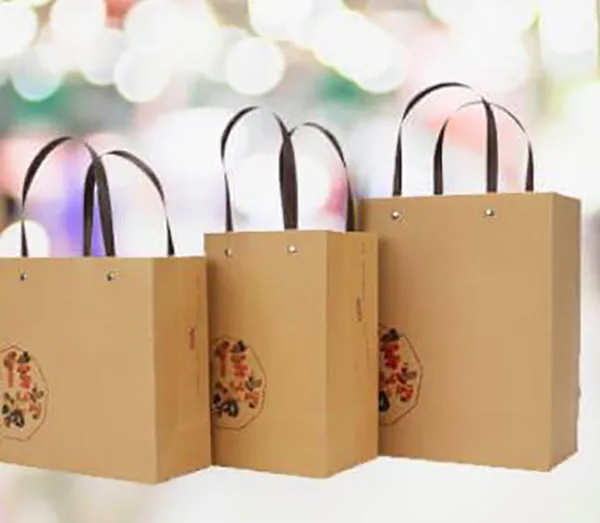 Carry Bag Paper