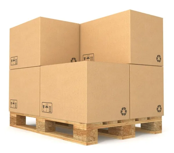 Folding Carton
