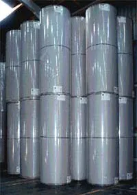 GREYLINER