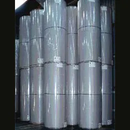 GREYLINER