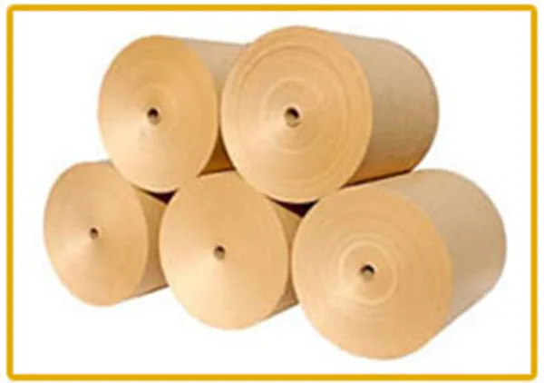 Absorbent Kraft