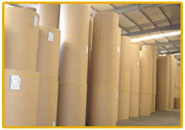 Kraft Paper