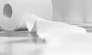 TISSUE MAKING ADDITIVES