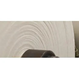 Pulp & Paper Process Chemicals