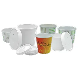 Take-Out Containers-Lids