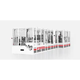 Paper Rolls Packing Machine Forza