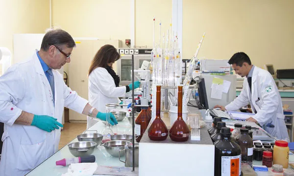 Pigment Preparations In Aqueous Medium