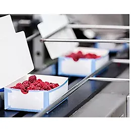 FOOD PACKAGING