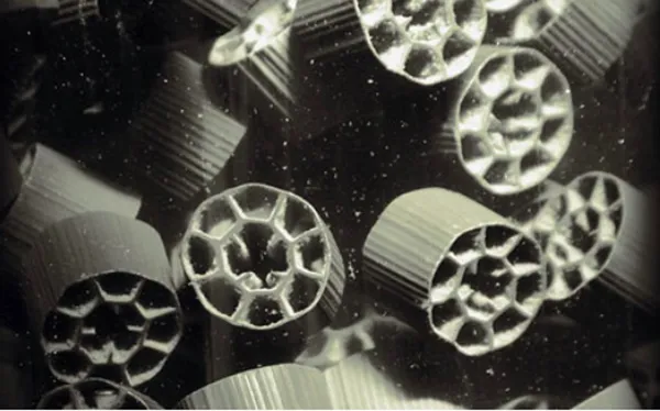 METEOR IFAS_MBBR Process