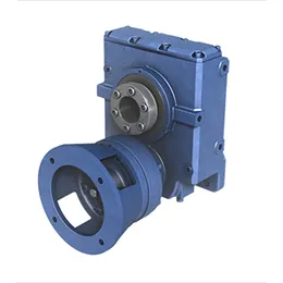 Cyclo® Helical Buddybox Reducer