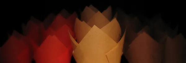 Tulip Cups