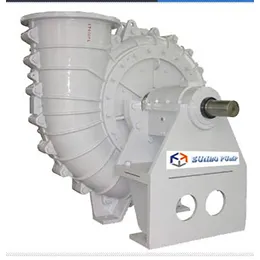 FGD Slurry Pump