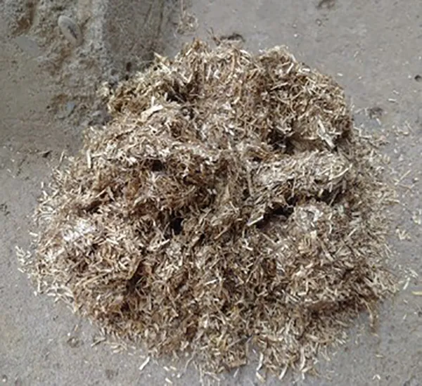 Flax Fibers and Pulp