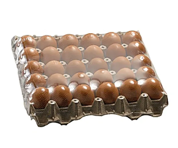 Food Wrapping