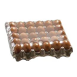 Food Wrapping