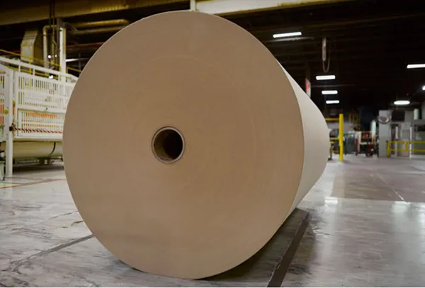 PULP & PAPER PRODUCTS