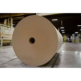 PULP & PAPER PRODUCTS