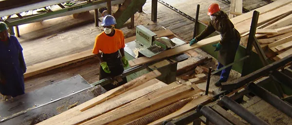 Sawn Timber