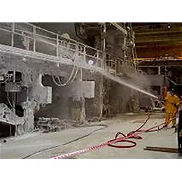Pulp and Paper Industry