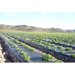 Plastic Mulching Film