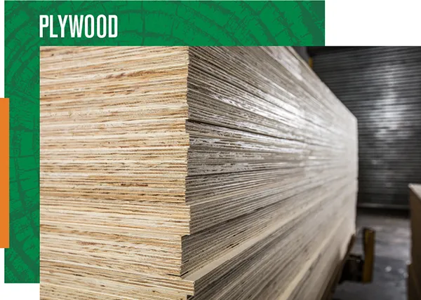 SOFTWOOD PLYWOOD