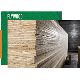 SOFTWOOD PLYWOOD