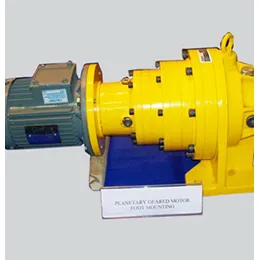 PLANETARY GEARED MOTORS